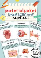 Vorschau - Arbeitsblätter - Materialpaket - Sinnesorgane - Kompakt + Experimente - Deckblatt