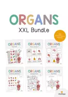 Vista previa - Manualidades / Dibujos para colorear - ORGANS: Paquete XXL de materiales para la clase de inglés (Órganos) - Portada