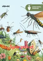 Vorschau - Unterrichtsreihen - Sparpaket: Tiere im Fokus – Haustiere, Nutztiere & Insekten im Biologieunterricht (SEK I) - Deckblatt