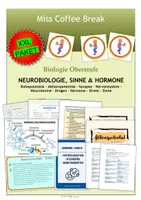 Vorschau - Arbeitsblätter - NEUROBIOLOGIE, SINNE & HORMONE (XXL Materialpaket) - Deckblatt