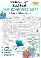 Vorschau - Arbeitsblätter - Materialpaket Sachtext differenziert das Korallenriffe-Leseverständnis Klasse 3, 4, 5, 6 - Deckblatt
