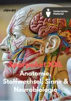 Vorschau - Stundenentwürfe - XXL-Sparpaket Biologie – Anatomie, Stoffwechsel, Sinne & Neurobiologie | 30 Materialien für Sekundarstufe I & II - Deckblatt