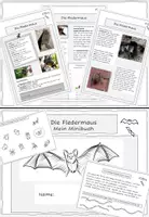 Vorschau - Stundenentwürfe - Materialpaket Fledermaus: Informationstexte & Aufgaben (Minibuch) - Deckblatt