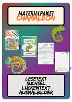 Vorschau - Spiele - Materialpaket Chamäleon | Lesetext + Fragen - Suchsel - Lückentext - Ausmalbilder (inkl. Lösungen) - Deckblatt