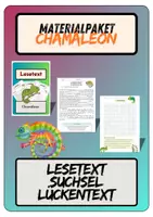 Vorschau - Arbeitsblätter - Materialpaket Chamäleon | Lesetext + Fragen - Suchsel - Lückentext - (inkl. Lösungen) - Deckblatt