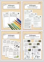 Vorschau - Stationenlernen - Materialpaket - Heimische Schlangen - Deckblatt