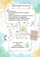 Vorschau - Arbeitsblätter - Materialpaket: Hinduismus - Deckblatt