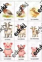Aperçu - Apprentissages en autonomie - Les animaux et leurs cris – Lot de 2 jeux (48 cartes) - Page de couverture