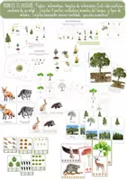 Vista previa - Refuerzo / NEE / Materiales de apoyo - BUNDLE EL BOSQUE. Unidad de estudio. - Portada