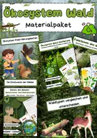 Vorschau - Arbeitsblätter - Ökosystem Wald Bundle: Nahrungsketten, Waldtypen, Funktionen, Schutz, Stockwerke - Deckblatt