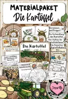 Vorschau - Arbeitsblätter - Kartoffel | Materialpaket | Sachunterricht Klasse 2,3,4 - Deckblatt