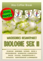 Vorschau - Spiele - 🌱 BIOLOGIE SEK II - Zellbiologie, Genetik, Evolution, Ökologie, Stoffwechsel, Neurobiologie (XXXL GESAMTPAKET, 130+ Materialien) 🐞 - Deckblatt