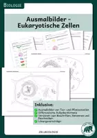 Vorschau - Arbeitsblätter - Eukaryotische Zellen - Ausmalbilder von Tier- und Pflanzenzellen - Deckblatt
