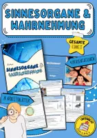 Vorschau - Arbeitsblätter - Biologie | Gesamte Einheit: "Sinnesorgane & Wahrnehmung“ | 18 Arbeitsblätter + Lösungen + 4 Präsentationen | Klasse 7 und 8 - Deckblatt