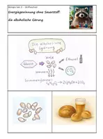 Vorschau - Arbeitsblätter - Stoffwechselphysiologie – Wachsendes Materialpaket - Deckblatt