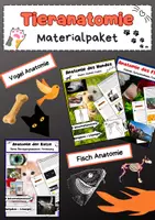Vorschau - Arbeitsblätter - Tiere & Anatomie Materialpaket – Bau, Funktion und Anpassung - Deckblatt