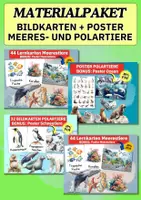 Vorschau - Arbeitsblätter - Meerestiere & Polartiere entdecken – Premium-Lernkarten-Materialpaket für Kita & Grundschule - Deckblatt