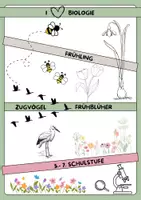 Vorschau - Stundenentwürfe - Materialpaket: Frühling, Blütenpflanzen, Steckbrief - Deckblatt