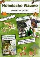 Vorschau - Arbeitsblätter - Heimische Bäume Bundle: Laubbäume, Nadelbäume, Baumaufbau, Forstwirtschaft - Deckblatt