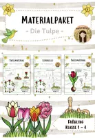Vorschau - Arbeitsblätter - Materialpaket: Die Tulpe - Aufbau und Lebenszyklus / Frühblüher - Deckblatt