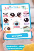 Aperçu - Préparation de séquence / Séquence complète - Le corps humain – Cartes de vocabulaire illustrées - Page de couverture