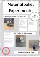 Vorschau - Experimente - Experimente Frühblüher - Deckblatt