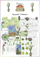 Vorschau - Arbeitsblätter - Frühblüher: XXL Sparpaket (Lesespaziergang, Kunst) - Sachunterricht / Deutsch - Kl. 1-3 - Deckblatt