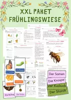 Vorschau - Unterrichtsreihen - XXL Materialpaket 🌸 Frühlingswiese (Biene, Schmetterling, Vögel, Frühblüher...) - Deckblatt
