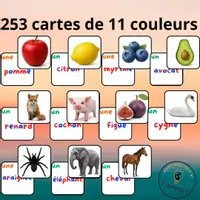 Aperçu - Jeux - 253 cartes de 11 couleurs avec étiquettage - Page de couverture