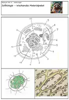 Vorschau - Arbeitsblätter - Zellbiologie - Wachsendes Materialpaket - Deckblatt