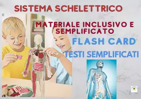 anteprima - Esercizi - RACCOLTA SISTEMA SCHELETTRICO materiale semplificato e in CAA con flash cards, esercizi utile per bambini con autismo, sindrome di down o NAI - Pagina di copertina