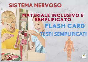 anteprima - Esercizi - RACCOLTA MATERIALI SISTEMA NERVOSO SEMPLIFICATO utile per sostegno - Pagina di copertina