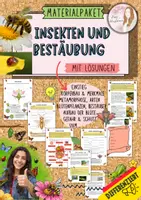 Vorschau - Unterrichtsreihen - Insekten Bestäuber Unterrichtsmaterial Biologie Klasse 5–7 – Arbeitsblätter, Körperbau, Metamorphose, Bestäubung, Ökosystem differenziert mit Lösungen - Deckblatt