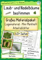 Vorschau - Arbeitsblätter - Laub- und Nadelbäume bestimmen – Unterrichtseinheit Sachunterricht (Klasse 2–4) | Legematerial, Mini-Merkheft & Arbeitsblätter - Deckblatt
