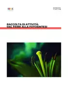 anteprima - Esperimenti - Raccolta di materiali: Dal fiore alla fotosintesi - Pagina di copertina
