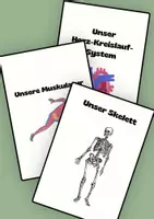 Vorschau - Unterrichtsreihen - Skelett/Muskulatur/HKS – Arbeitshefte - Deckblatt