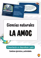 Vista previa - Unidades / Secuencias / Situaciones de Aprendizaje - Pack AMOC | Teoría + deberes + actividades sobre cambio climático (ESO/Bachillerato) - Portada