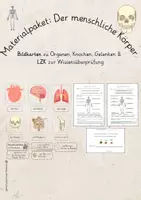 Vorschau - Arbeitsblätter - Materialpaket menschlicher Körper (Bildkarten & LZK) - Deckblatt