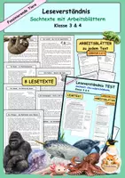 Vorschau - Unterrichtsreihen - Materialpaket Leseverständnis Sachtexte Klasse 3/4 - Deckblatt