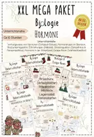 Vorschau - Stundenentwürfe - Hormone: Schlüssel-Schloss-Prinzip, Hormondrüsen, Blutzuckerregulation, Stressreaktion, Escape Room | Biologie 8 | komplette Unterrichtsreihe | sofort einsetzbar| XXL Paket - Deckblatt