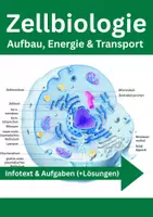 Vorschau - Arbeitsblätter - Zellbiologie – Aufbau, Energie & Transport - Deckblatt