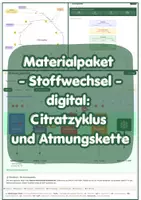 Vorschau - Unterrichtsreihen - Materialpaket - Stoffwechsel - digital: Citratzyklus und Atmungskette - Deckblatt