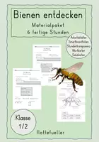 Vorschau - Stundenentwürfe - Bienen (Materialpaket) - Deckblatt