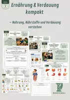 Vorschau - Unterrichtsreihen - Ernährung und Verdauung verstehen – Nahrung, Nährstoffe und Verdauungsweg Bundle mit Arbeitsblättern, Kartenmaterial, Fallimpulsen, Lösungen und S/W-Versionen - Deckblatt