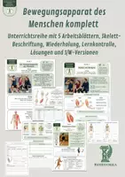 Vorschau - Unterrichtsreihen - Bewegungsapparat des Menschen komplett - Unterrichtsreihe mit 5 Arbeitsblättern, Skelett-Beschriftung, Wiederholung, Lernkontrolle, Lösungen und S/W-Versionen - Deckblatt
