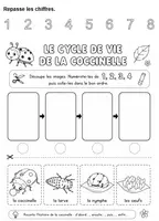 Aperçu - Feuilles d'exercices - Kit pédagogique : Cycle de vie de la coccinelle, de la grenouille, du papillon, de l'abeille, de la poule et du cheval - Page de couverture