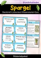 Vorschau - Arbeitsblätter - Spargel MEGABUNDLE - Wissenskartei, Lückentext, Steckbrief, Quizkarten - Deckblatt