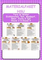 Vorschau - Arbeitsblätter - Materialpaket - Tiere im Winter Eichhörnchen, Reh, Maulwurf, Fuchs & Igel Klasse 3 & Klasse 4 - Deckblatt