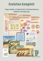 Vorschau - Stundenentwürfe - Evolution Mega-Bundle – komplette Unterrichtsreihe mit Erdgeschichte, Selektion, Wiederholung und Transfer - Deckblatt