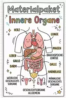 Vorschau - Arbeitsblätter - Innere Organe - Deckblatt